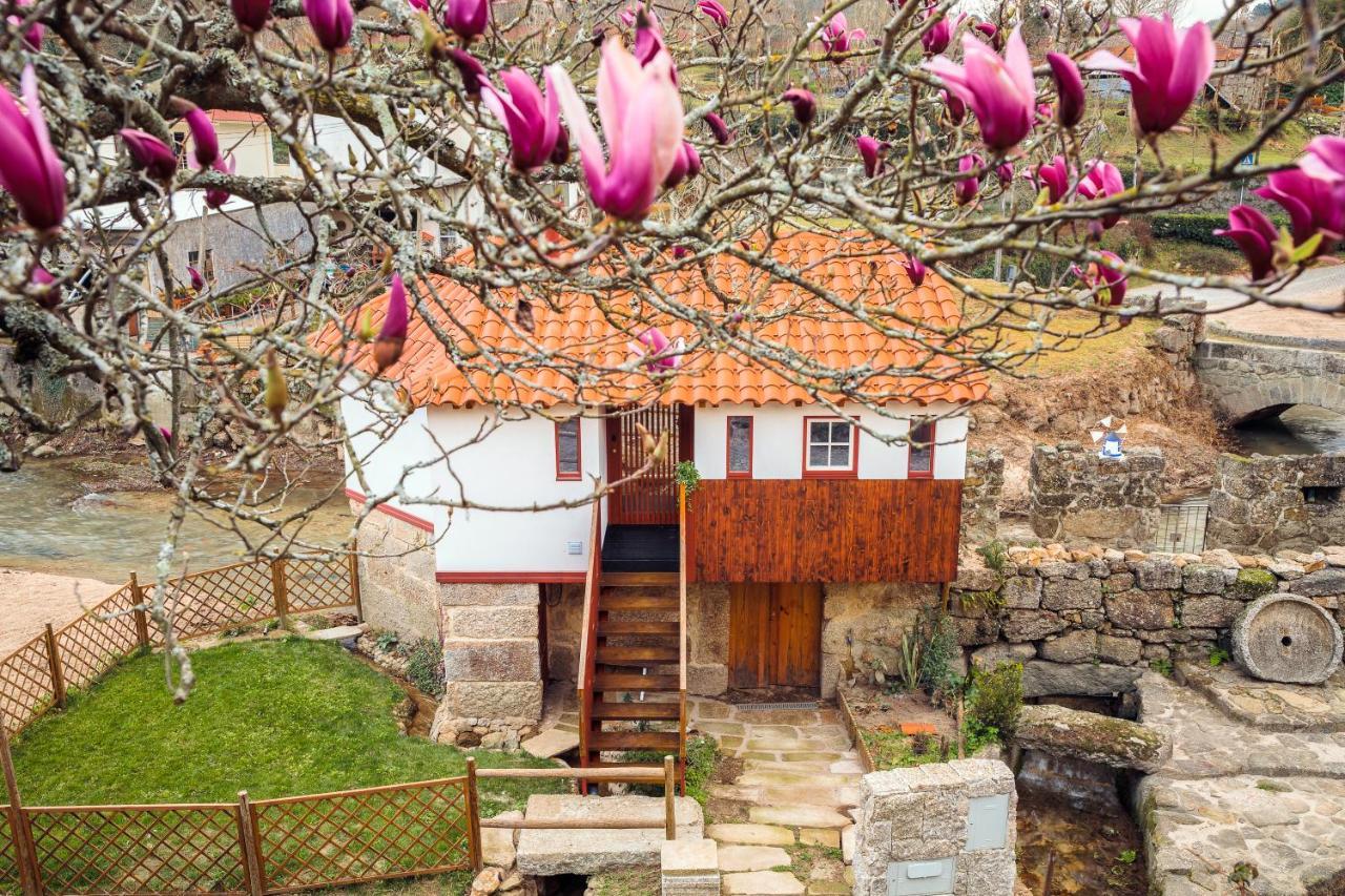 Refugio House Natura Moinho De Agua - Eco House Guimarães Exterior foto